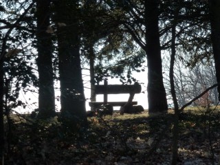 p1000646.jpg