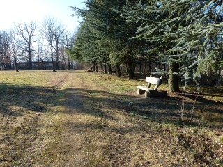 p1000651.jpg